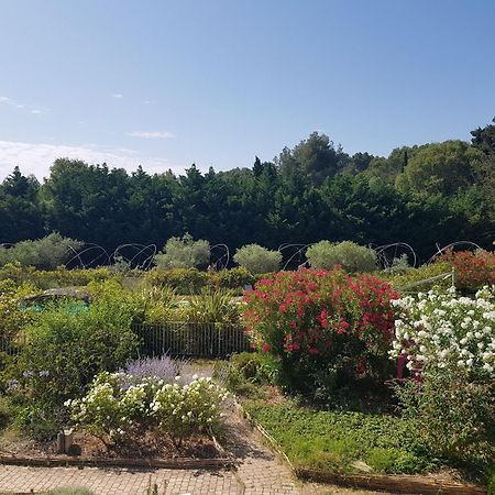 Mas des Figues La Ferme de Philippe #Ecotourism #Agrotourism #Ruraltourism #Countryhouselodge #zeropesticide #conversionbio #OrganicVegetarianBrunch Saint-Rémy-de-Provence Exterior foto