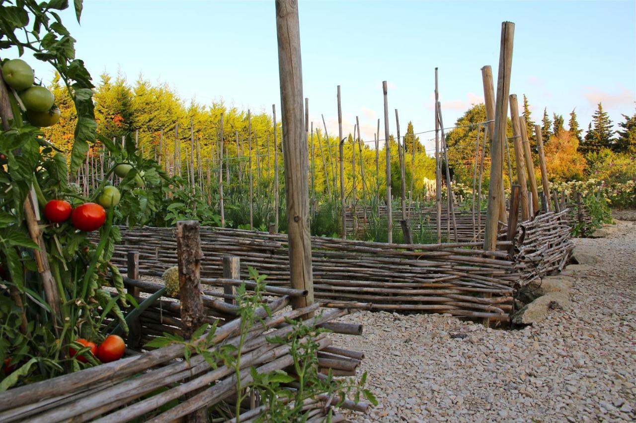 Mas des Figues La Ferme de Philippe #Ecotourism #Agrotourism #Ruraltourism #Countryhouselodge #zeropesticide #conversionbio #OrganicVegetarianBrunch Saint-Rémy-de-Provence Exterior foto