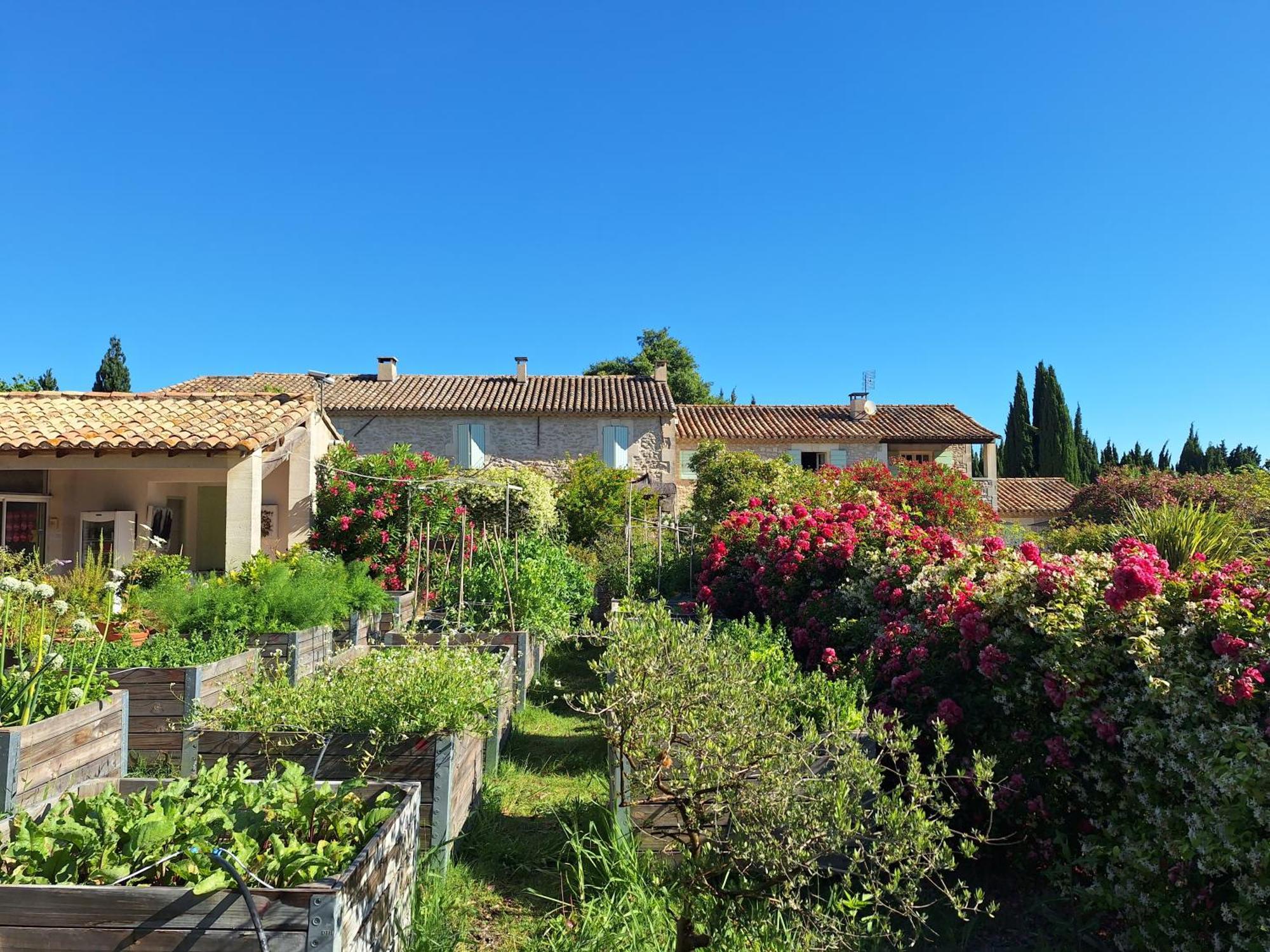 Mas des Figues La Ferme de Philippe #Ecotourism #Agrotourism #Ruraltourism #Countryhouselodge #zeropesticide #conversionbio #OrganicVegetarianBrunch Saint-Rémy-de-Provence Exterior foto