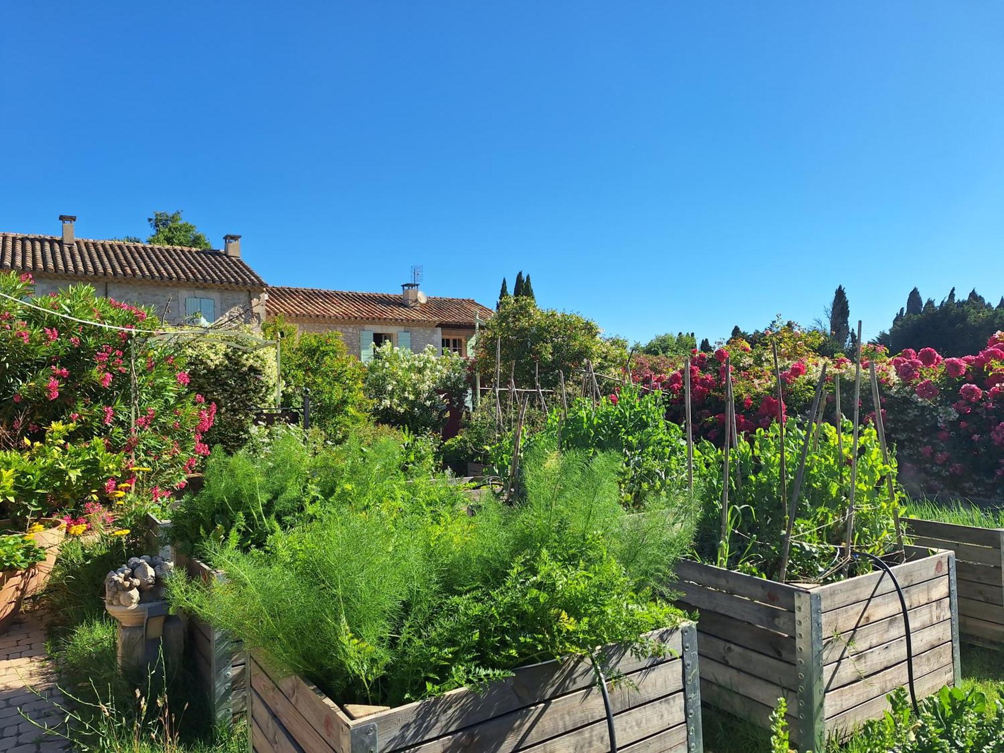 Mas des Figues La Ferme de Philippe #Ecotourism #Agrotourism #Ruraltourism #Countryhouselodge #zeropesticide #conversionbio #OrganicVegetarianBrunch Saint-Rémy-de-Provence Exterior foto