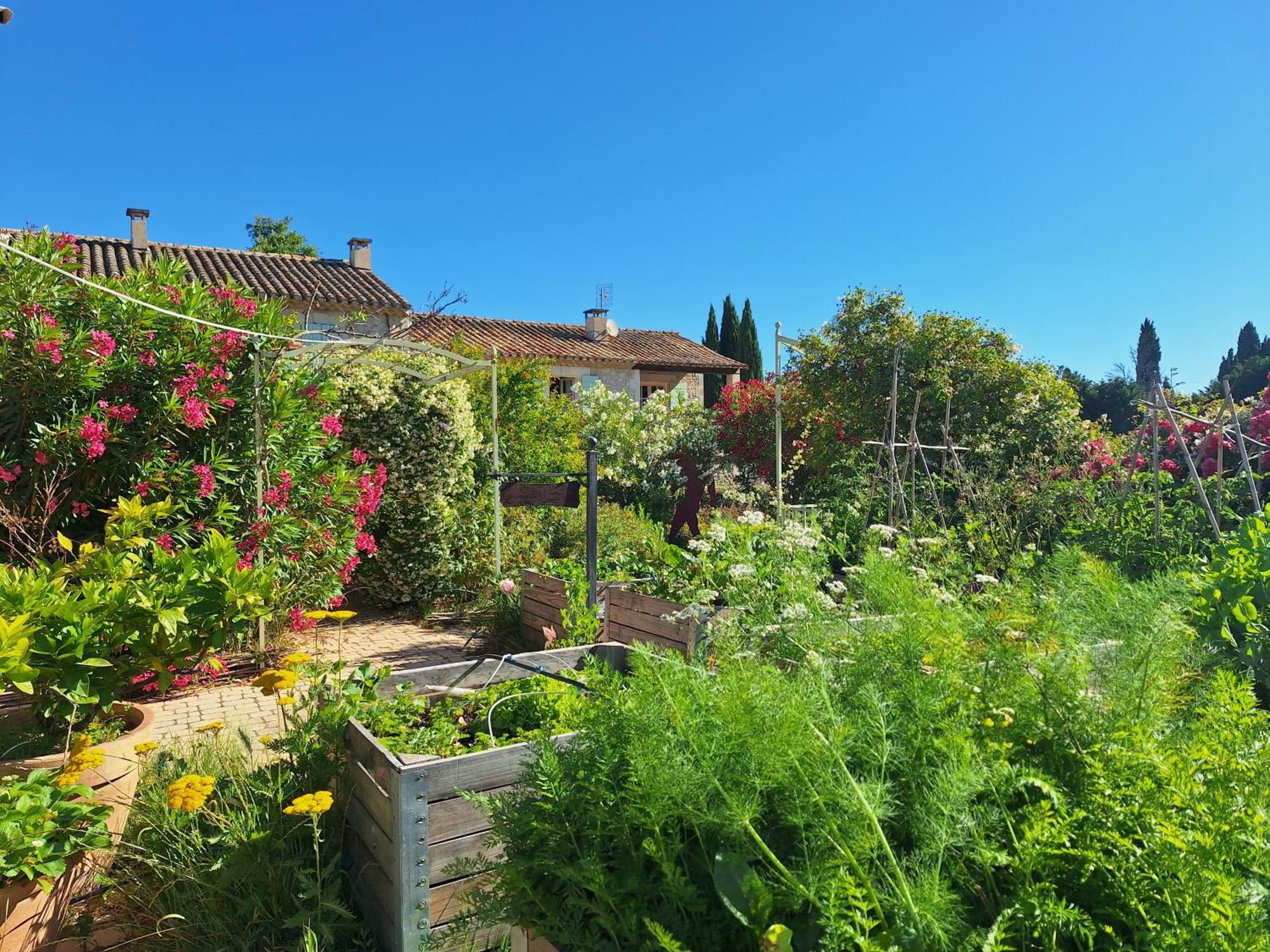 Mas des Figues La Ferme de Philippe #Ecotourism #Agrotourism #Ruraltourism #Countryhouselodge #zeropesticide #conversionbio #OrganicVegetarianBrunch Saint-Rémy-de-Provence Exterior foto