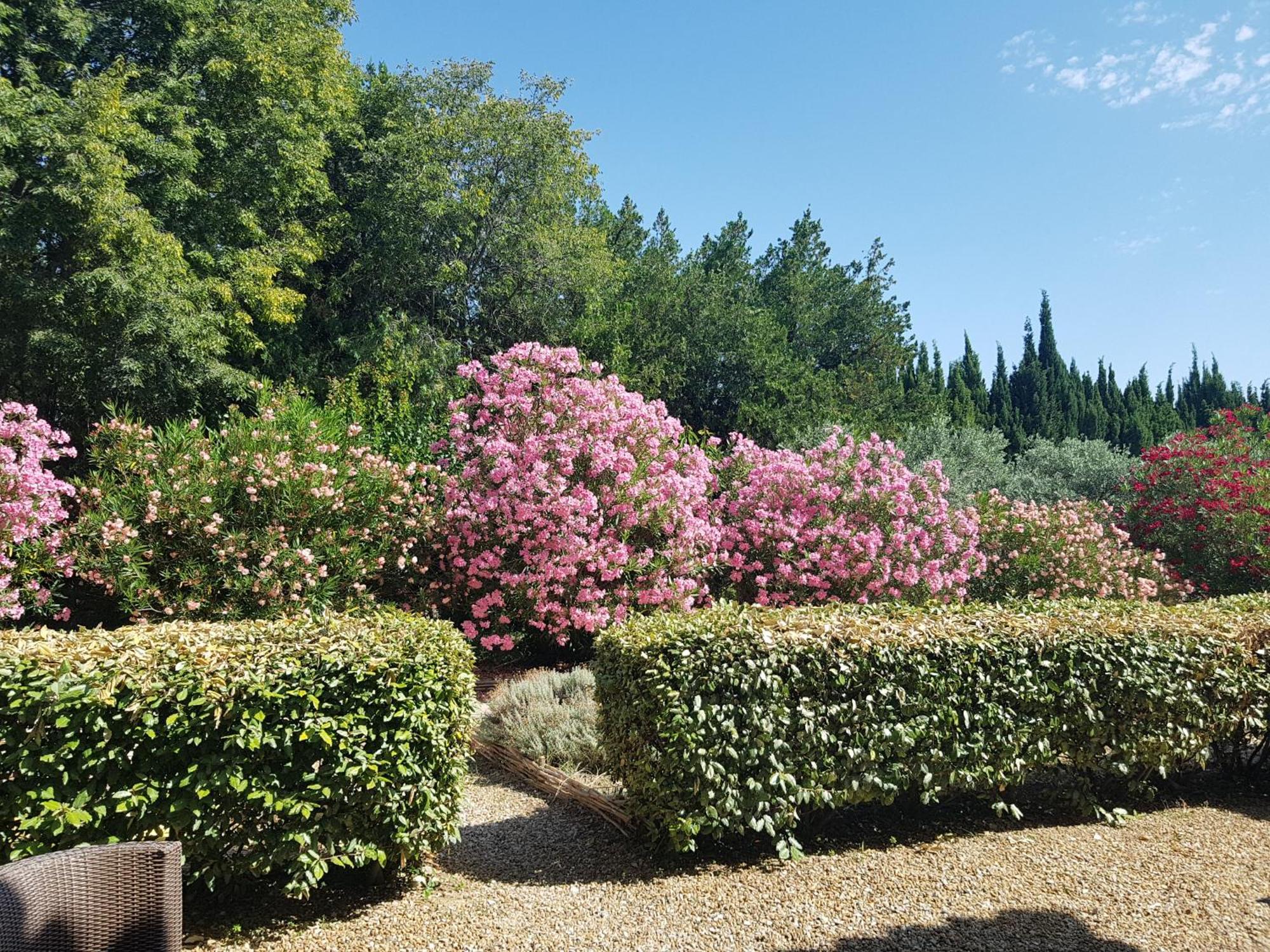 Mas des Figues La Ferme de Philippe #Ecotourism #Agrotourism #Ruraltourism #Countryhouselodge #zeropesticide #conversionbio #OrganicVegetarianBrunch Saint-Rémy-de-Provence Exterior foto