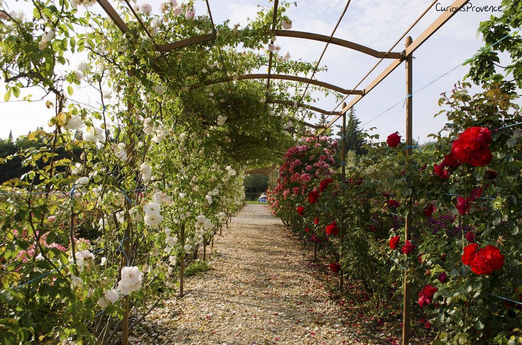 Mas des Figues La Ferme de Philippe #Ecotourism #Agrotourism #Ruraltourism #Countryhouselodge #zeropesticide #conversionbio #OrganicVegetarianBrunch Saint-Rémy-de-Provence Exterior foto