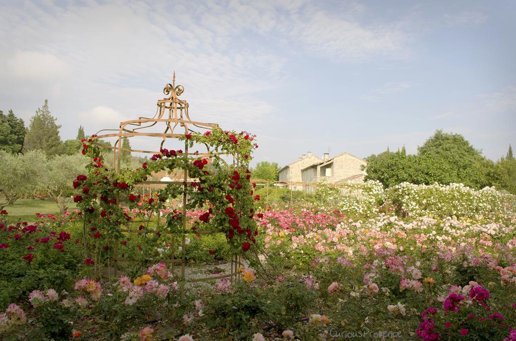 Mas des Figues La Ferme de Philippe #Ecotourism #Agrotourism #Ruraltourism #Countryhouselodge #zeropesticide #conversionbio #OrganicVegetarianBrunch Saint-Rémy-de-Provence Exterior foto