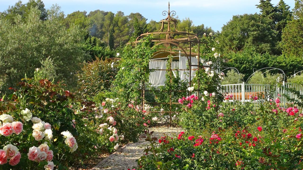 Mas des Figues La Ferme de Philippe #Ecotourism #Agrotourism #Ruraltourism #Countryhouselodge #zeropesticide #conversionbio #OrganicVegetarianBrunch Saint-Rémy-de-Provence Exterior foto