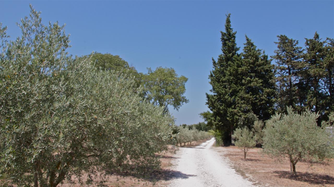 Mas des Figues La Ferme de Philippe #Ecotourism #Agrotourism #Ruraltourism #Countryhouselodge #zeropesticide #conversionbio #OrganicVegetarianBrunch Saint-Rémy-de-Provence Exterior foto