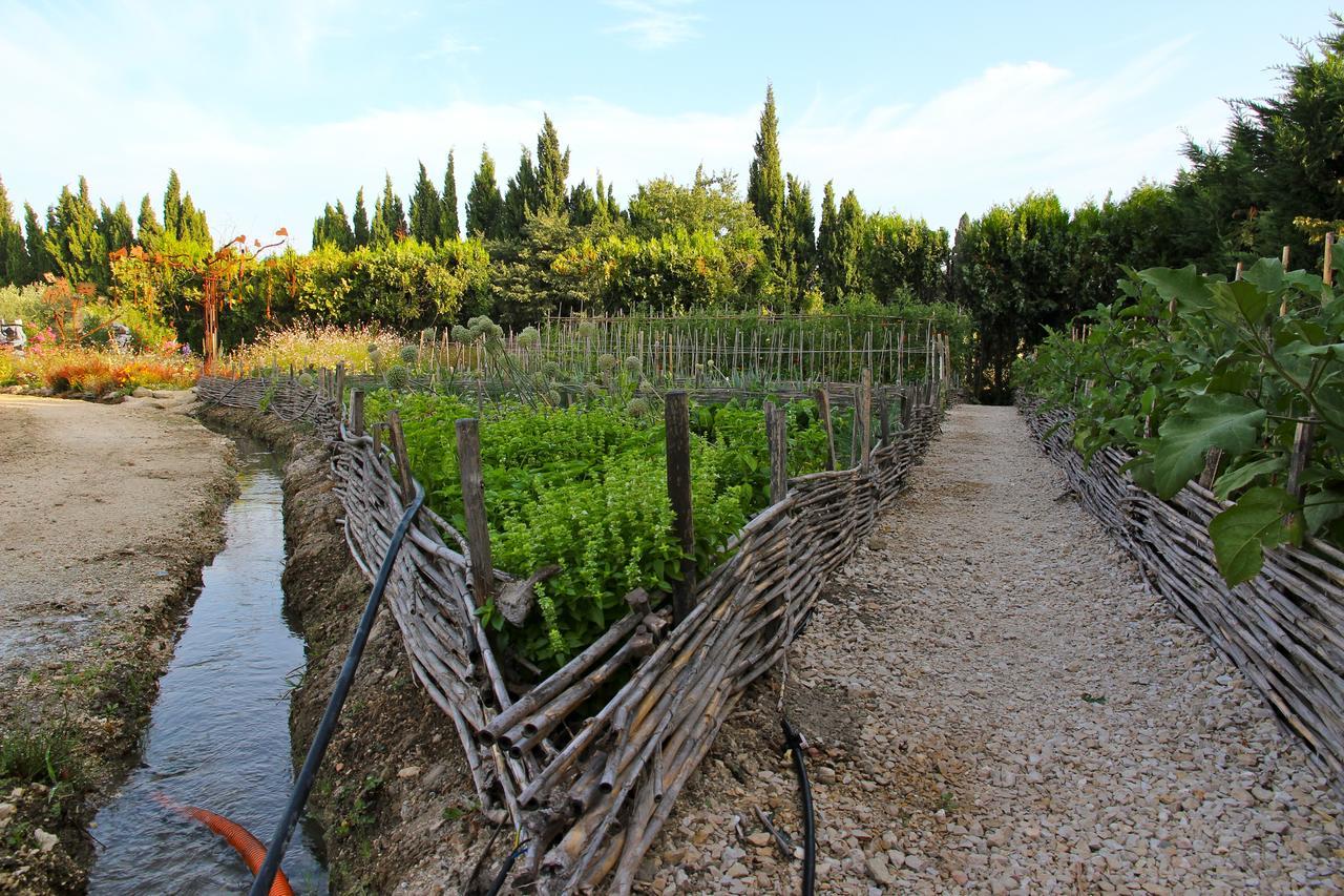 Mas des Figues La Ferme de Philippe #Ecotourism #Agrotourism #Ruraltourism #Countryhouselodge #zeropesticide #conversionbio #OrganicVegetarianBrunch Saint-Rémy-de-Provence Exterior foto