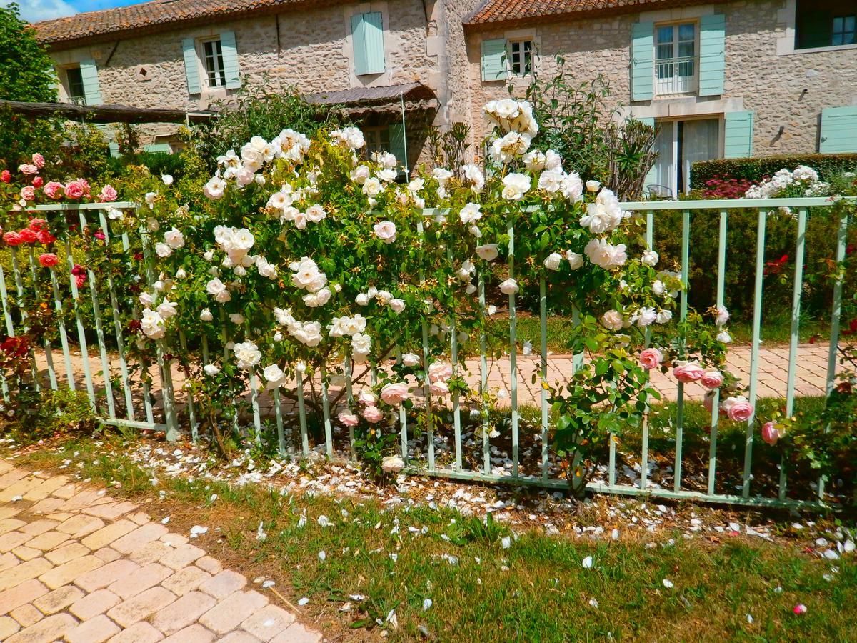 Mas des Figues La Ferme de Philippe #Ecotourism #Agrotourism #Ruraltourism #Countryhouselodge #zeropesticide #conversionbio #OrganicVegetarianBrunch Saint-Rémy-de-Provence Exterior foto