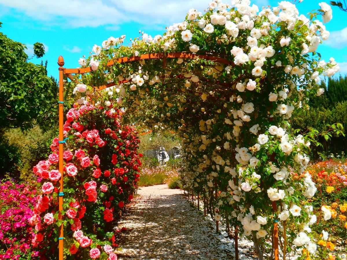 Mas des Figues La Ferme de Philippe #Ecotourism #Agrotourism #Ruraltourism #Countryhouselodge #zeropesticide #conversionbio #OrganicVegetarianBrunch Saint-Rémy-de-Provence Exterior foto