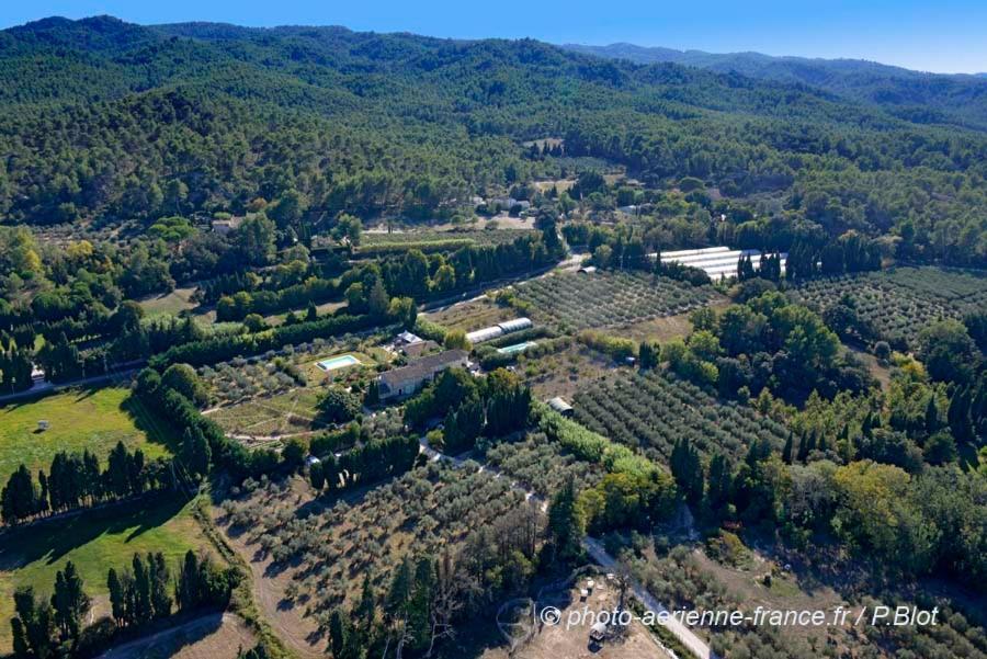 Mas des Figues La Ferme de Philippe #Ecotourism #Agrotourism #Ruraltourism #Countryhouselodge #zeropesticide #conversionbio #OrganicVegetarianBrunch Saint-Rémy-de-Provence Exterior foto