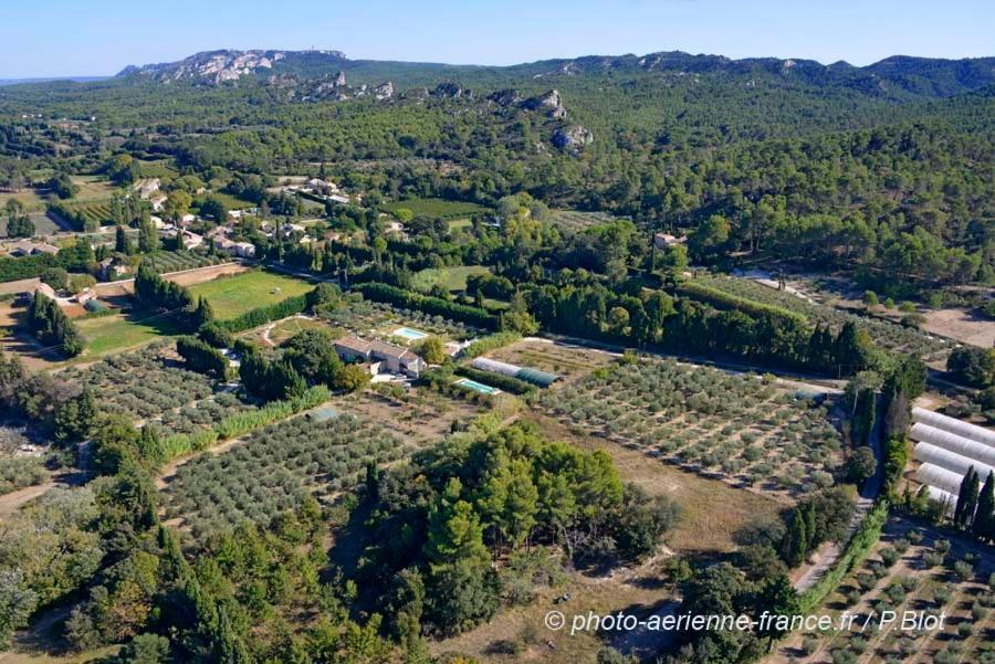 Mas des Figues La Ferme de Philippe #Ecotourism #Agrotourism #Ruraltourism #Countryhouselodge #zeropesticide #conversionbio #OrganicVegetarianBrunch Saint-Rémy-de-Provence Exterior foto